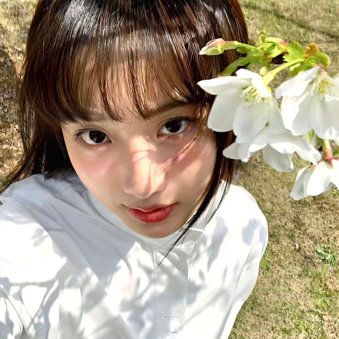 巧盗美人心